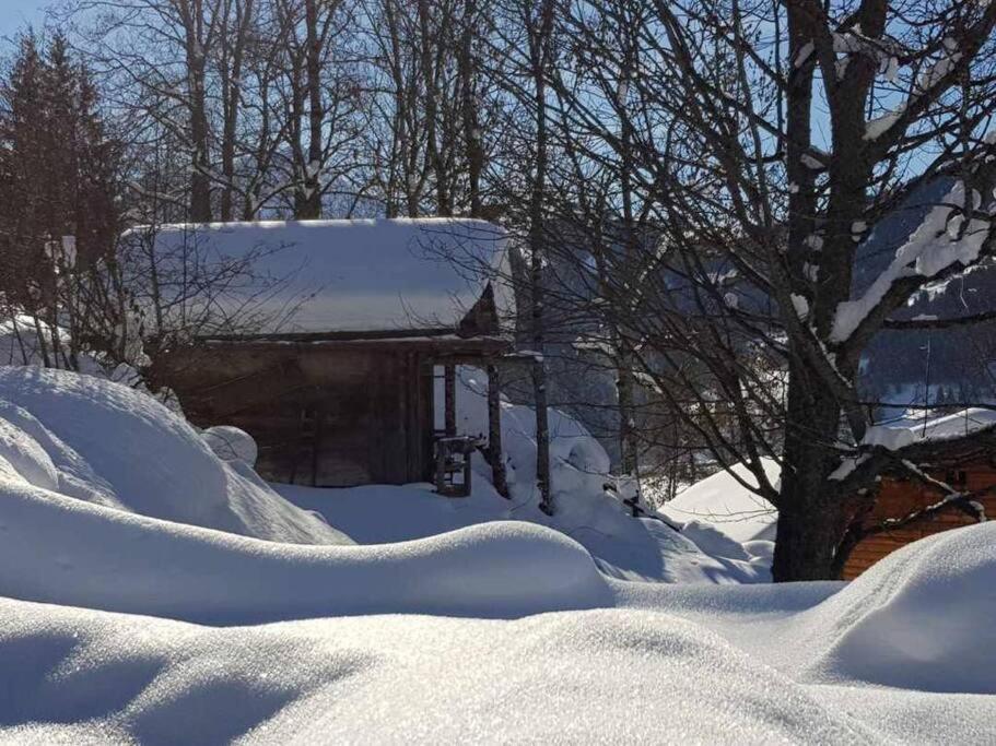 Superbe Chalet Ле Контамин-Монжоа Екстериор снимка